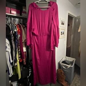 Zara fuchsia dress NWT
